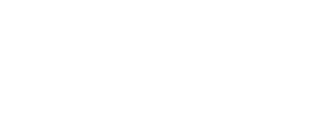 Insane Lens
