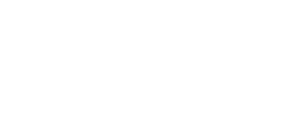 Insane Lens